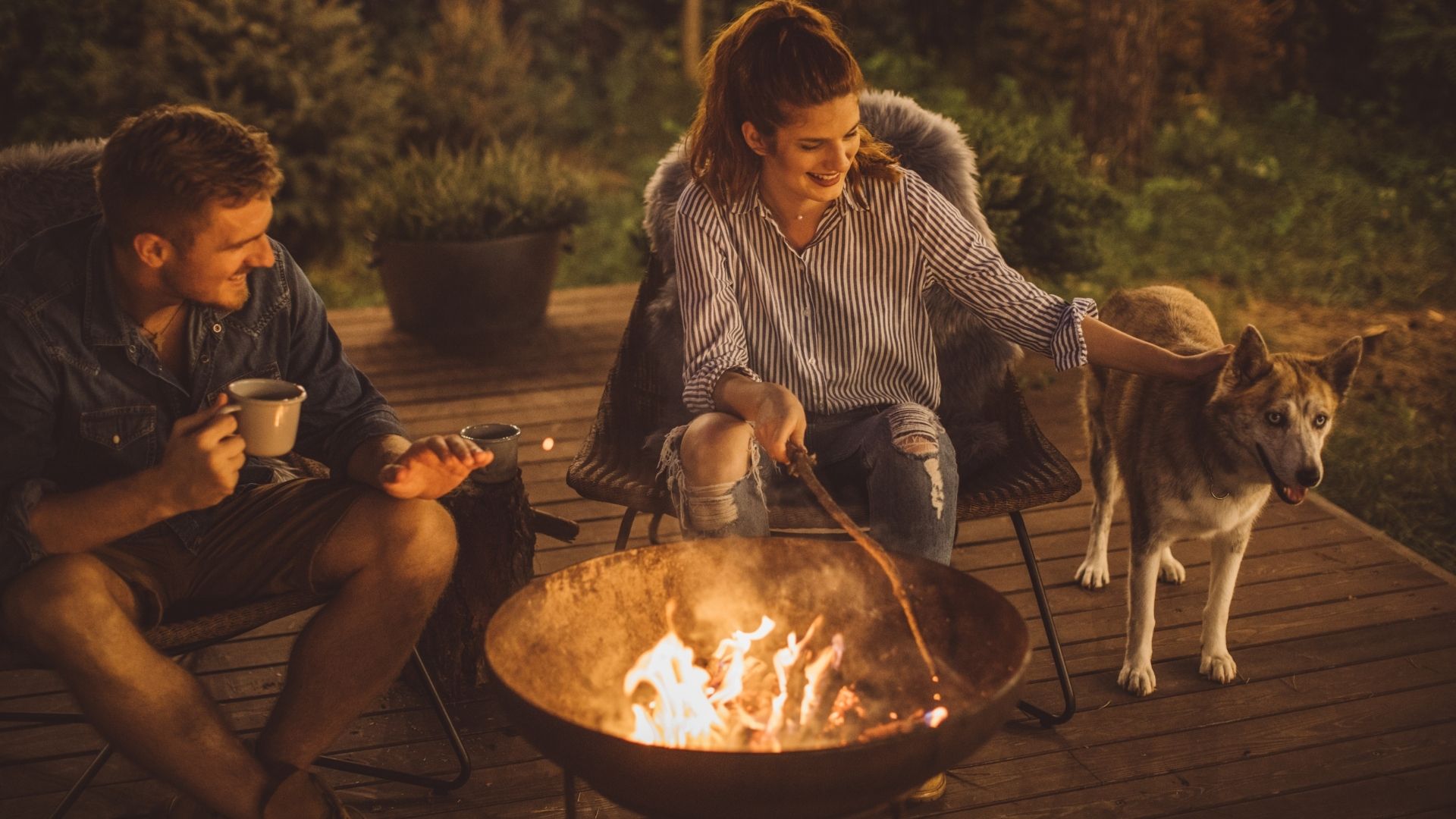 Best Veterinary Hospital In Mancelona, MI 49659